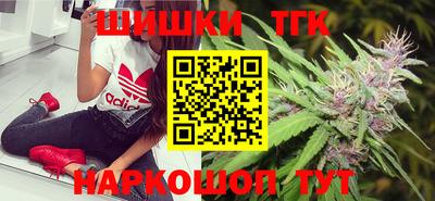 сатива Кохма