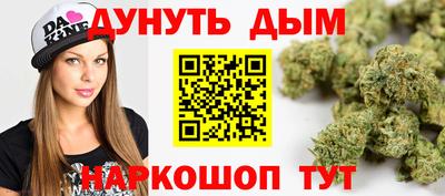 сатива Кохма