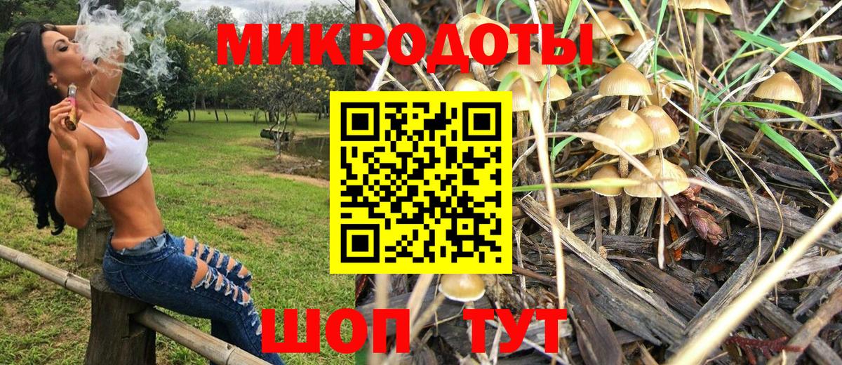 Галлюциногенные грибы Magic Shrooms Советская Гавань