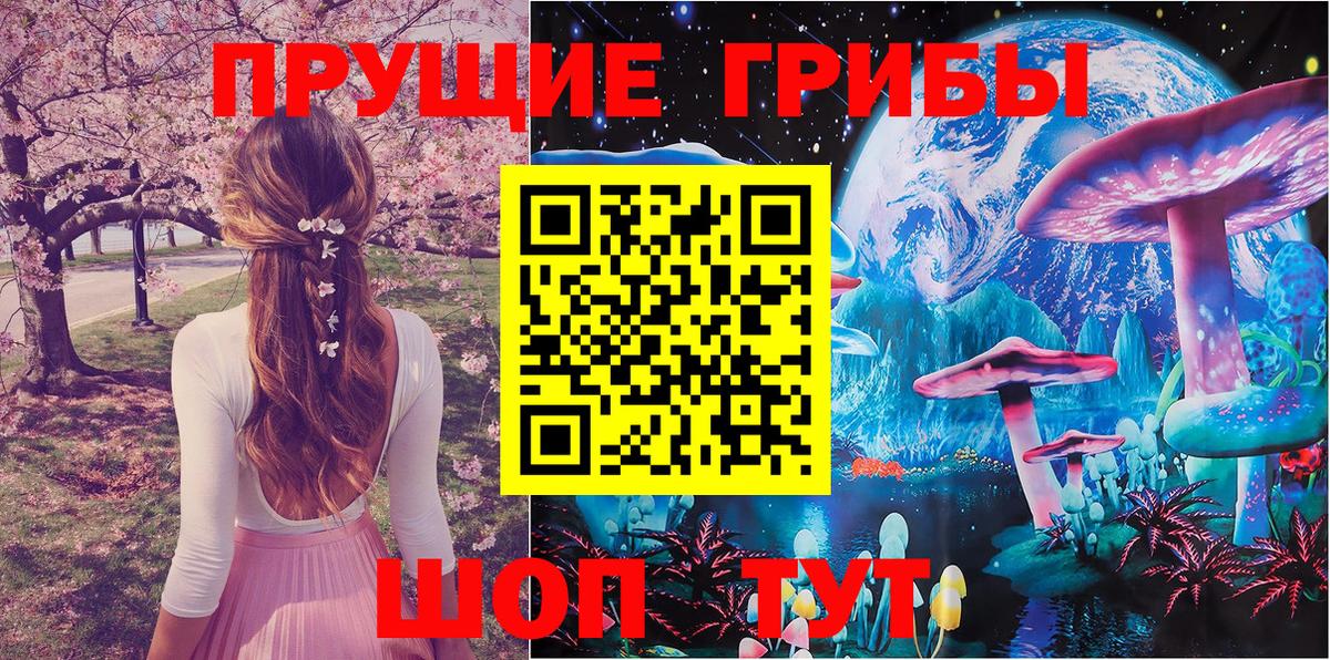 Советская Гавань  Галлюциногенные грибы Magic Shrooms  Вход с VPN  Псилоцибиновые грибы Psilocybine cubensis 